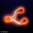 Cable splitter 4pin->2x4pin Orange UV AK-PY-ORUV