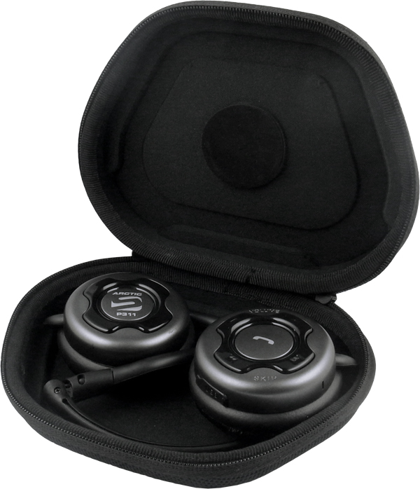 Arctic p311 online
